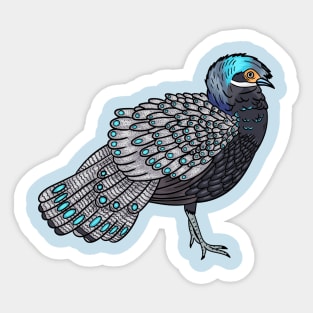 Bornean peacock-pheasant bird cartoon illustration Sticker